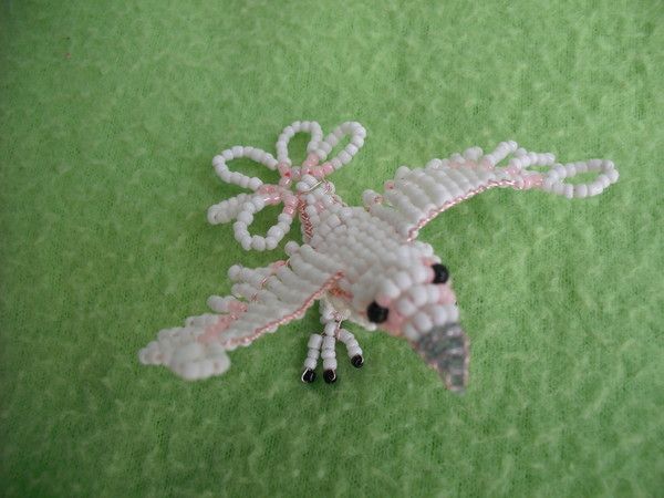 LA TOURTERELLE   (de 2015)